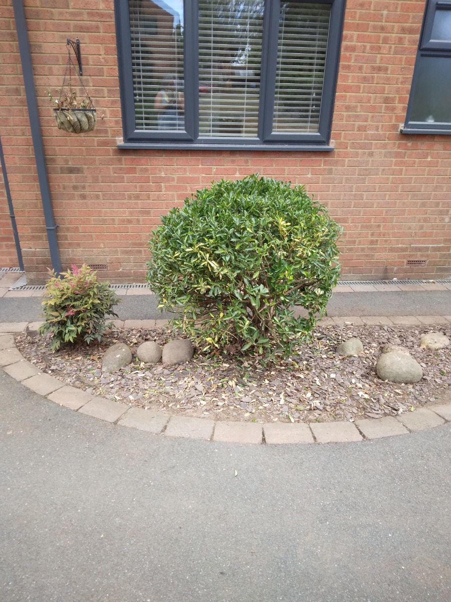 Gardener: Image 5